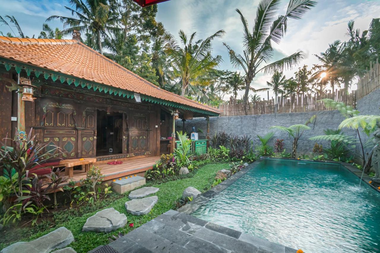 The Forest Batu Kurung Ubud Екстер'єр фото